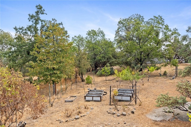 view of yard with a rural view