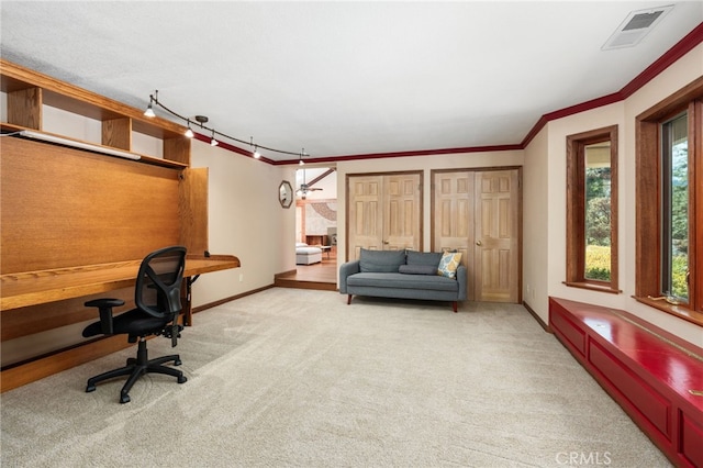 carpeted office with crown molding