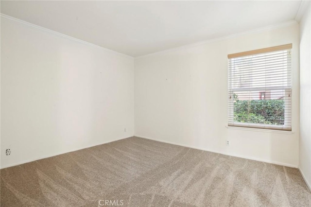 spare room featuring ornamental molding and carpet floors