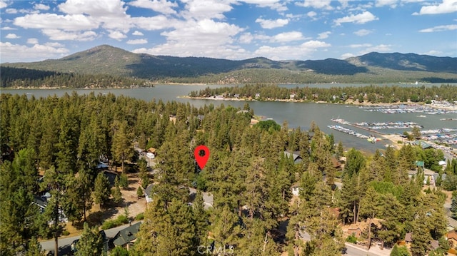 drone / aerial view featuring a water and mountain view