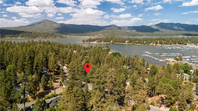 615 Chipmunk Ln, Big Bear Lake, CA 92315 - photo 32