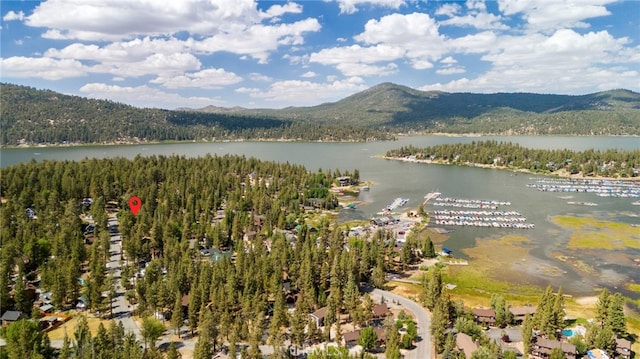 615 Chipmunk Ln, Big Bear Lake, CA 92315 - photo 33