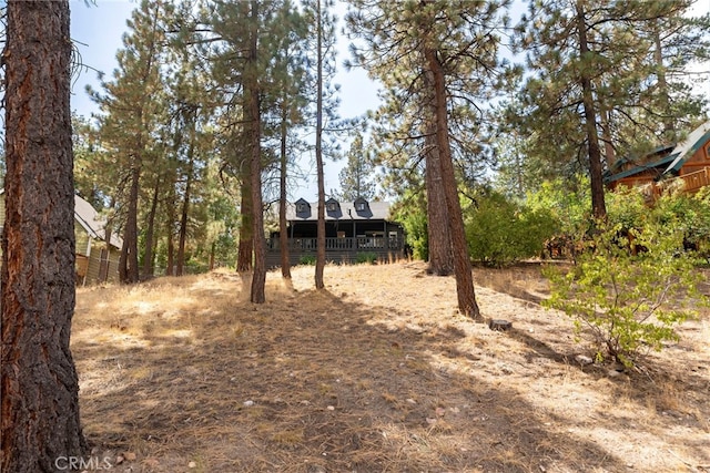 615 Chipmunk Ln, Big Bear Lake, CA 92315 - photo 28