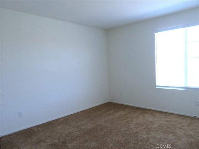 unfurnished room featuring carpet