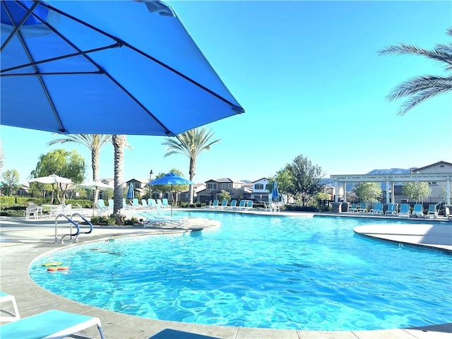 view of pool featuring a patio