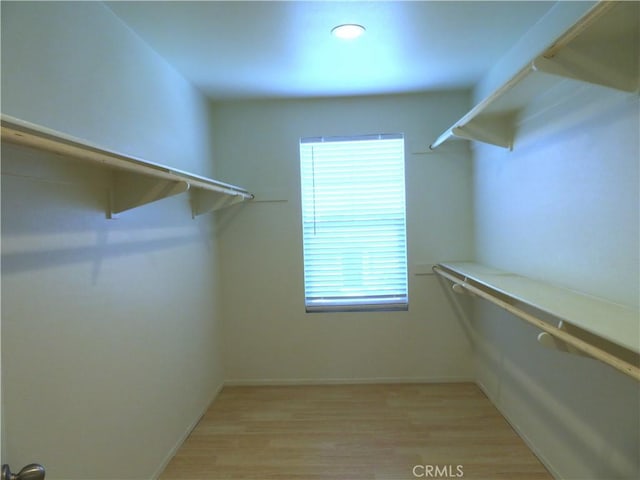 walk in closet with light wood-type flooring