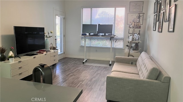 living room with hardwood / wood-style flooring