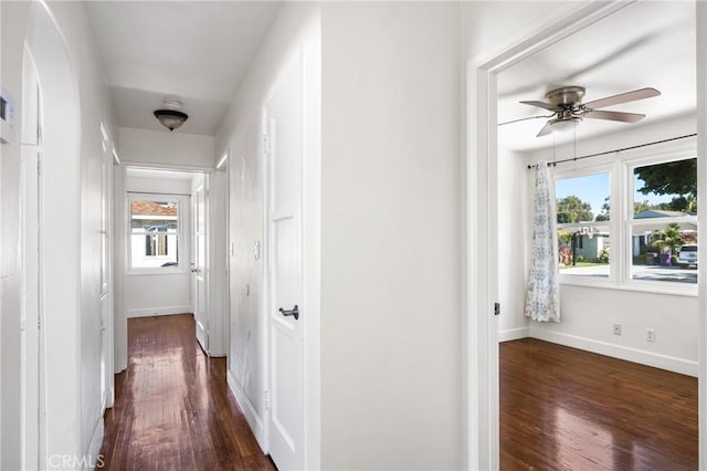 corridor featuring dark wood-type flooring and a wealth of natural light