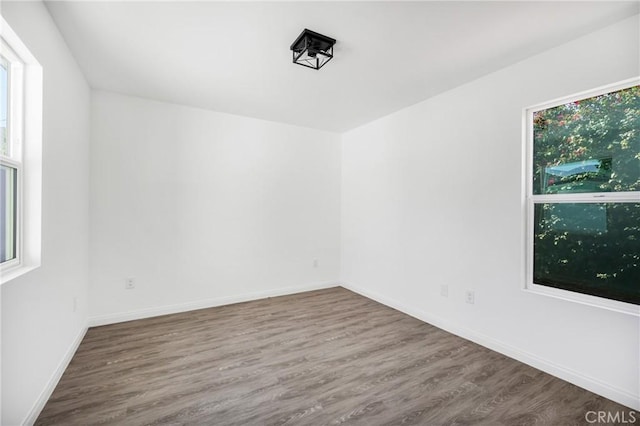 empty room with plenty of natural light and wood-type flooring