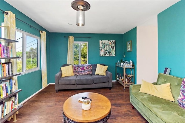 living room with dark hardwood / wood-style flooring