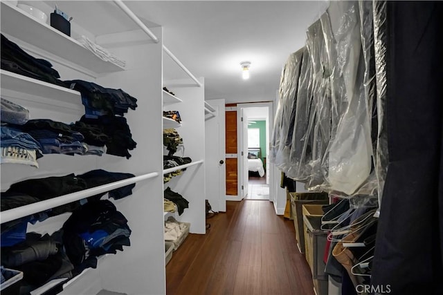 walk in closet with dark hardwood / wood-style flooring