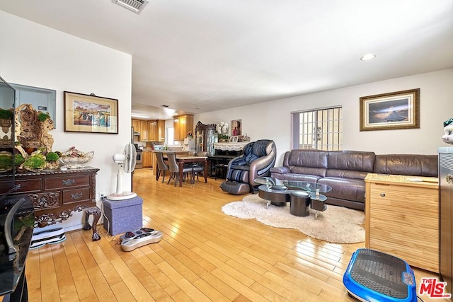 living room featuring light hardwood / wood-style floors