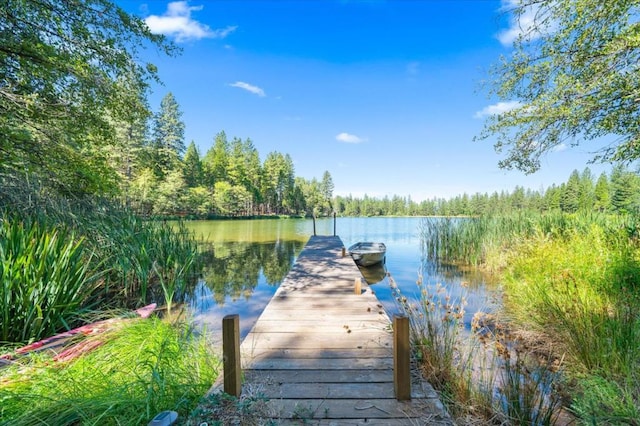 view of dock featuring a water view