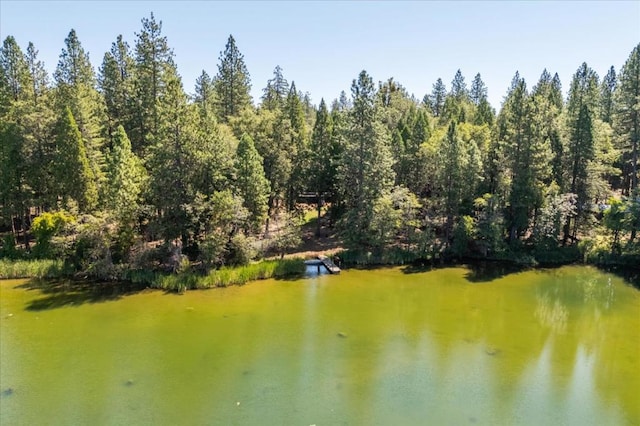 property view of water