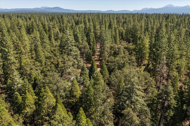 drone / aerial view with a mountain view