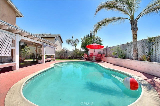 view of pool with a patio