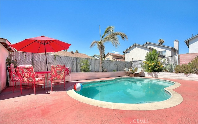 view of pool featuring a patio area