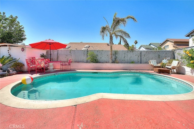 view of pool with a patio area