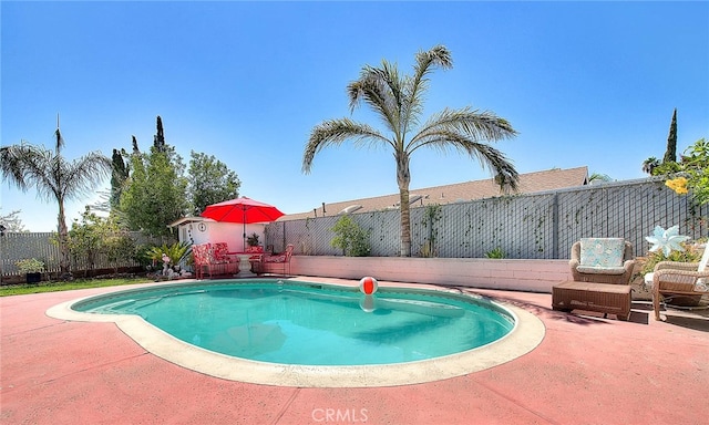 view of pool with a patio area