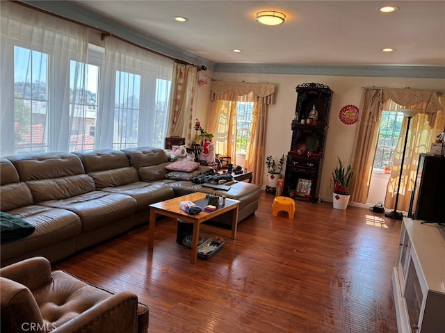 living room featuring dark wood-type flooring