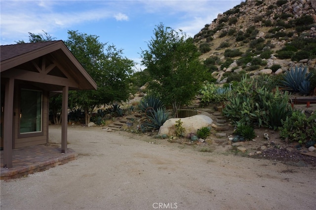 view of yard featuring a patio