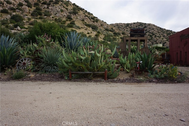 view of yard featuring a mountain view