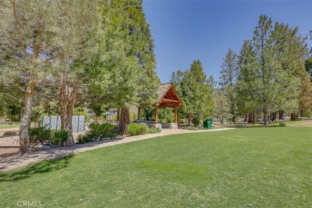 view of property's community featuring a lawn