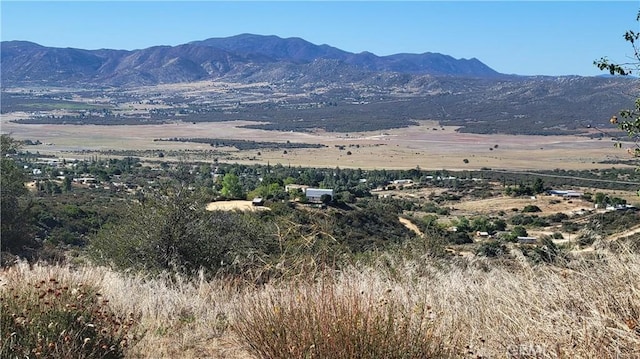 Listing photo 2 for 0 Dry Wash Rd, Anza CA 92539