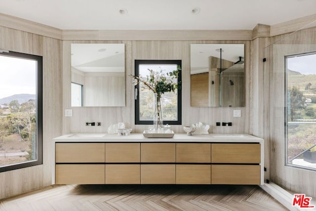 bathroom featuring vanity and a healthy amount of sunlight