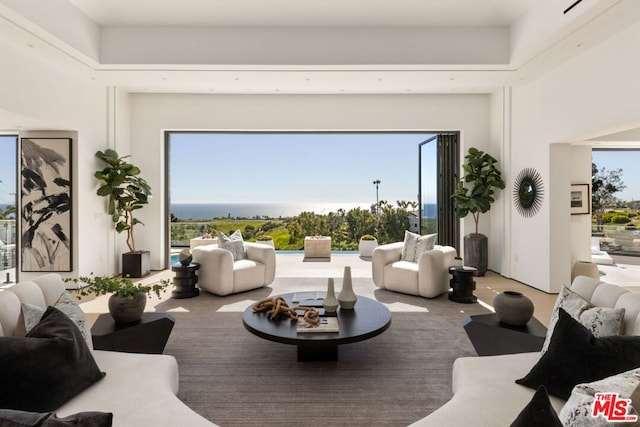 living room with a wealth of natural light