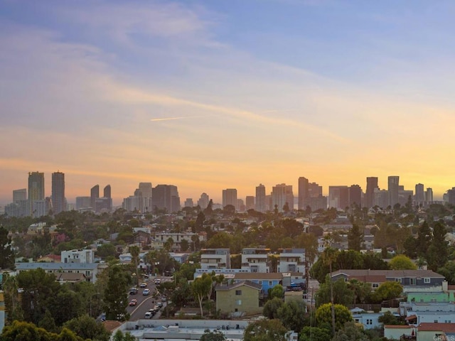 property's view of city