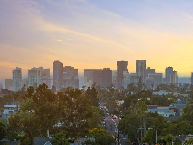 property's view of city