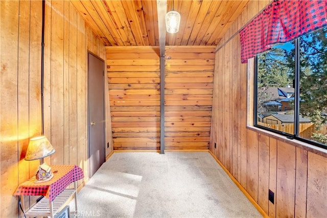 interior space featuring wooden ceiling, carpet flooring, and wood walls