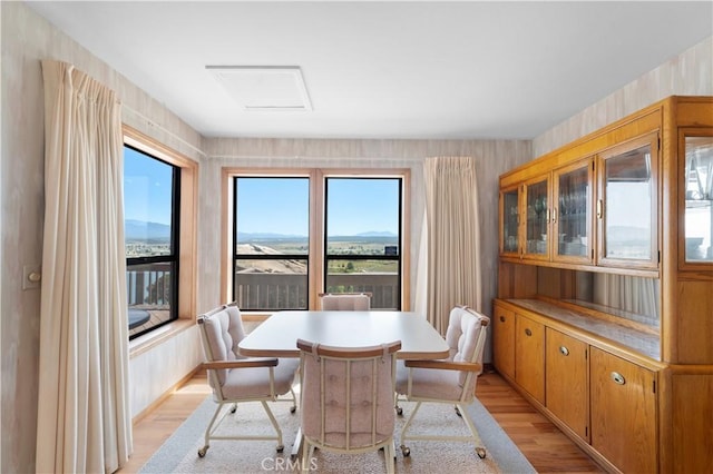 dining area with light hardwood / wood-style floors, a mountain view, and a healthy amount of sunlight