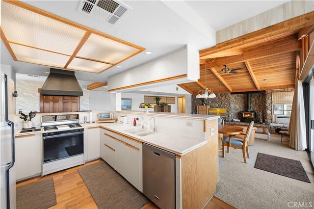 kitchen with kitchen peninsula, stainless steel appliances, a wood stove, wall chimney exhaust hood, and sink