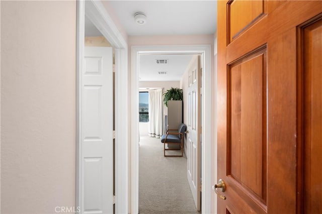 corridor featuring carpet flooring