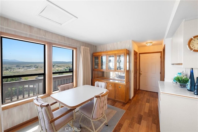 dining room with a mountain view and light hardwood / wood-style flooring