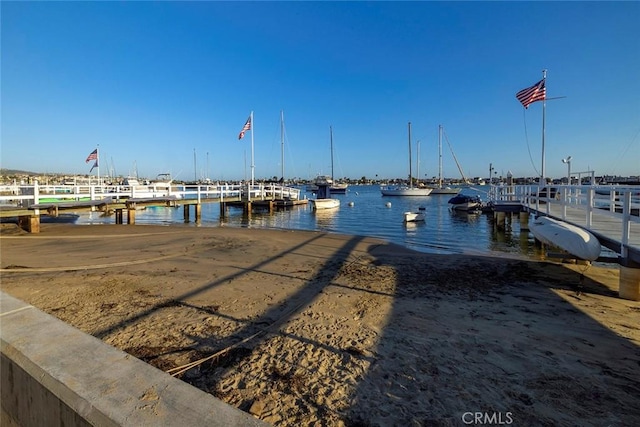 dock area with a water view