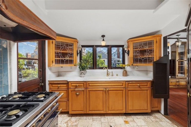 kitchen featuring stainless steel range, light hardwood / wood-style flooring, a wealth of natural light, and sink