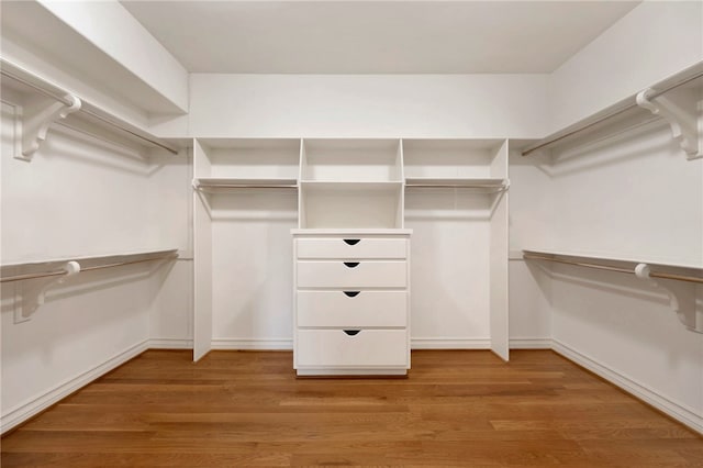 spacious closet with light hardwood / wood-style flooring