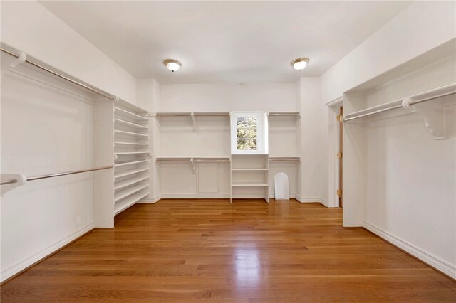 spacious closet with hardwood / wood-style flooring