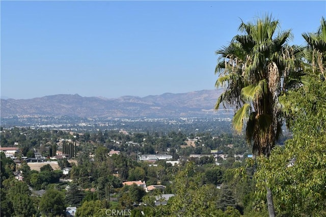 view of mountain feature