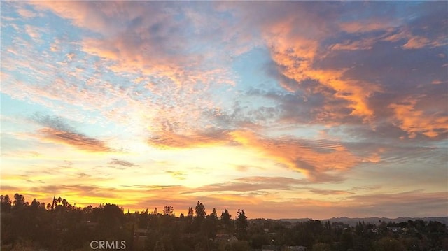 view of nature at dusk