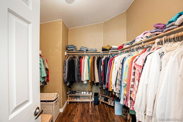 spacious closet with hardwood / wood-style floors