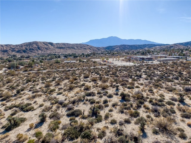 321 Pioneer Dr, Morongo Valley CA, 92256 land for sale