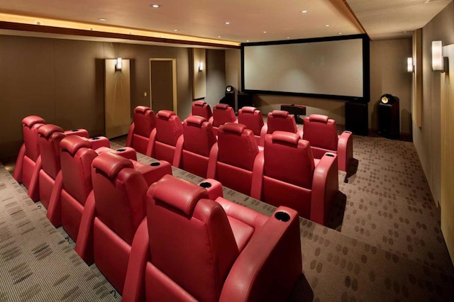 view of carpeted home theater