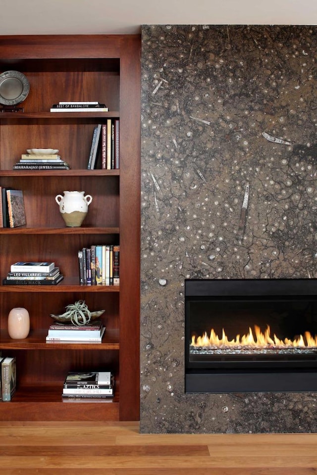 details with a high end fireplace