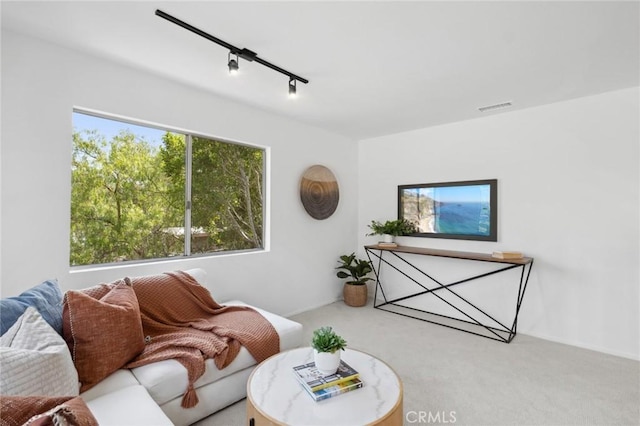 carpeted living room with rail lighting