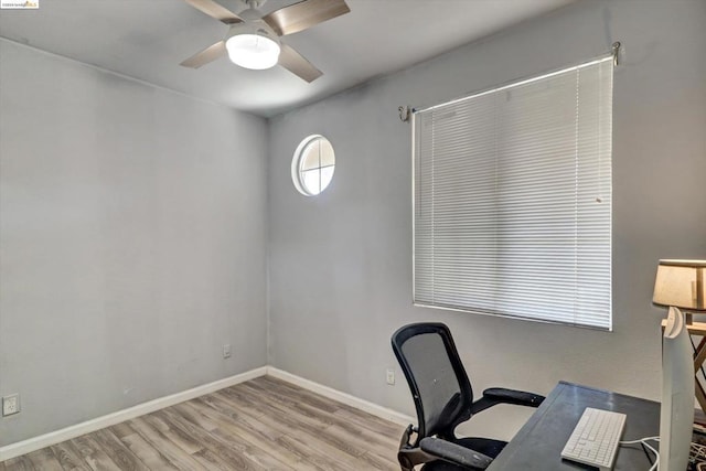 office featuring ceiling fan and light wood-type flooring