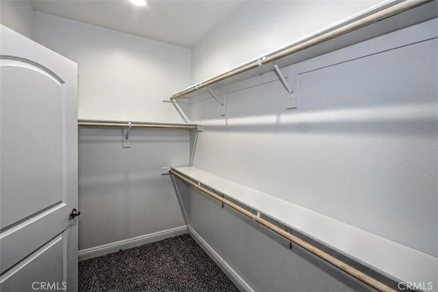 walk in closet with carpet floors